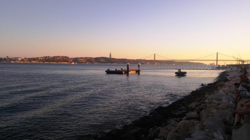 Snug Houseguests - 17