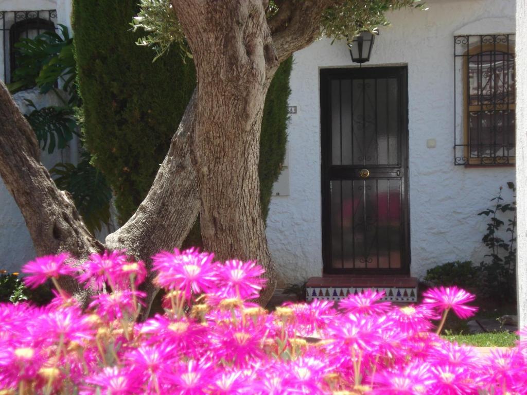 a tree with pink flowers in front of a door at El Capistrano Sur in Nerja