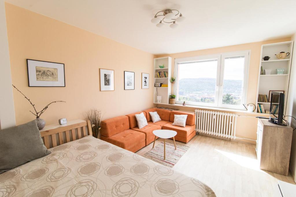 a living room with a bed and a couch at Apartman Labe in Ústí nad Labem