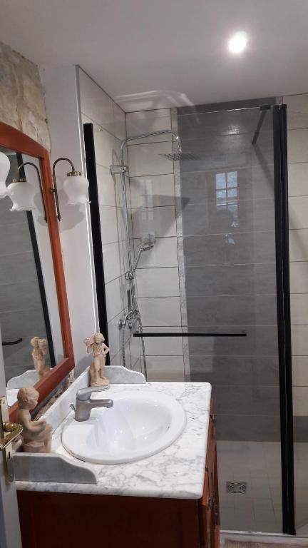 a bathroom with a sink and a shower at Charmante Maison Pierres 1768 in Polisy