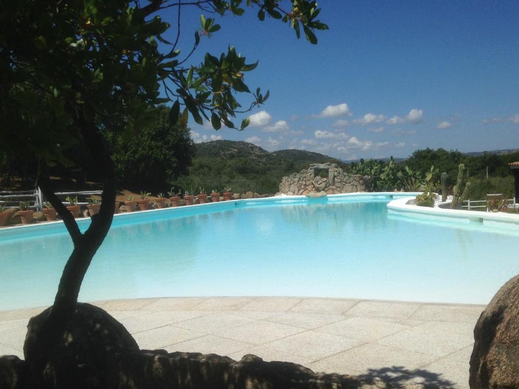 a large swimming pool with a tree in the foreground at CA' LA SOMARA in San Pantaleo