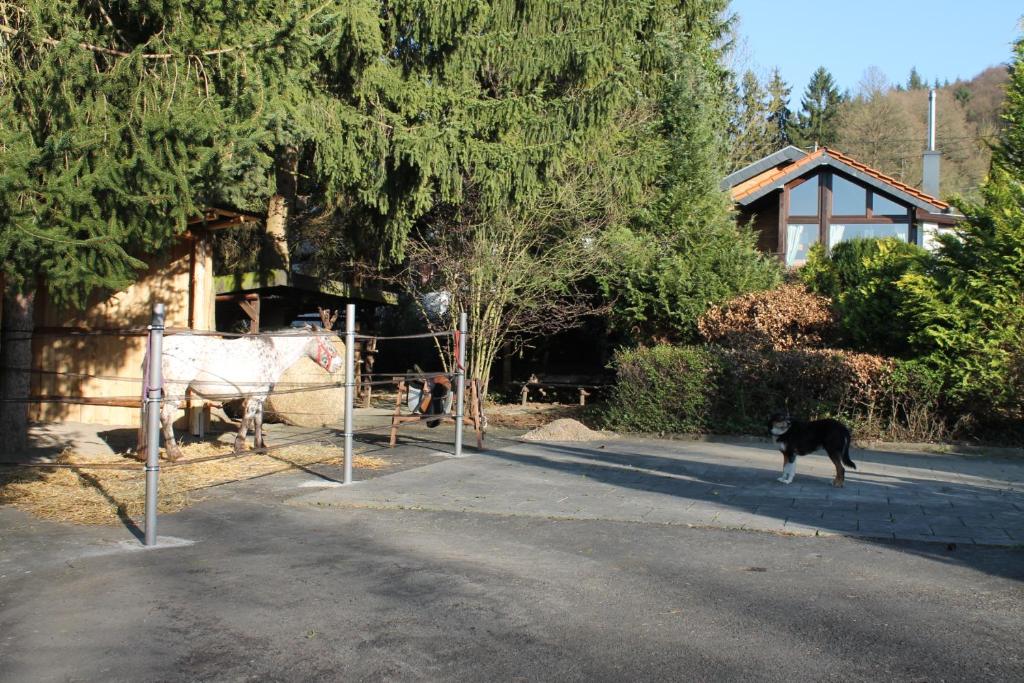 Fotografie z fotogalerie ubytování Ferienhaus "Kleiner Onkel" v destinaci Honerath