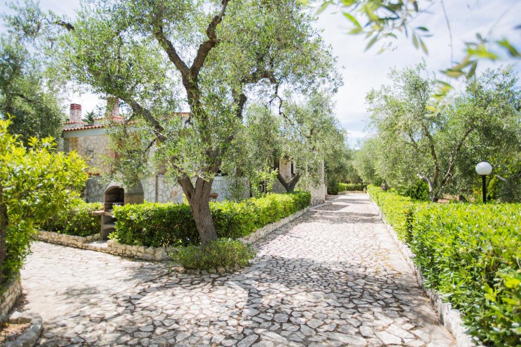 Tenuta Padre Pio - 7