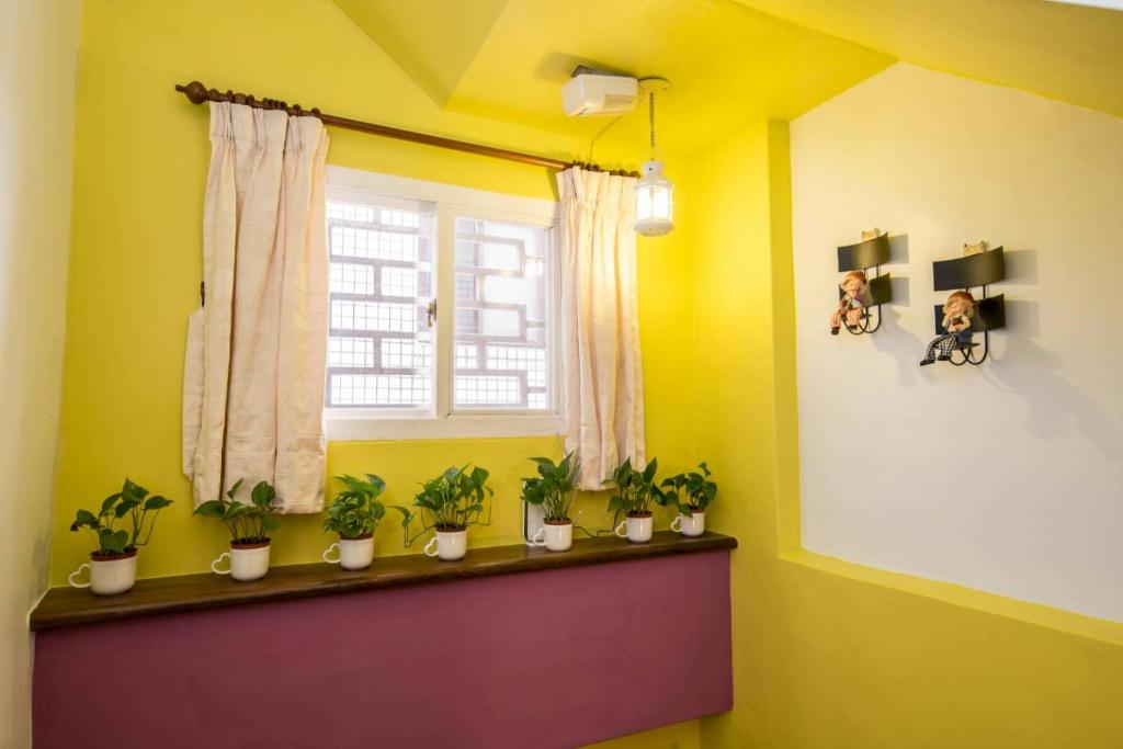 a room with a window and a row of potted plants at Dot Minsu in Wujie