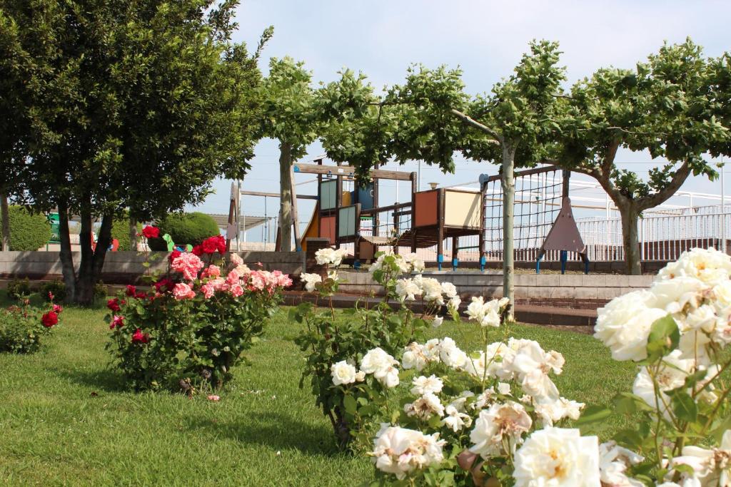 Zahrada ubytování Hotel Azar
