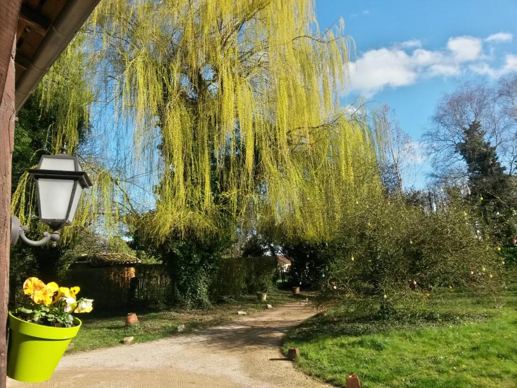 Zahrada ubytování Hostellerie Sarrasine, Mâcon Est - Teritoria