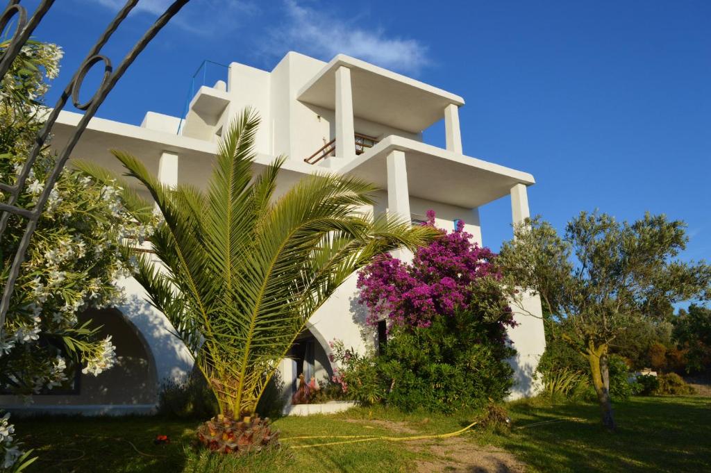 Biały budynek z roślinami przed nim w obiekcie Casa Shezella w mieście SantʼAnna Arresi