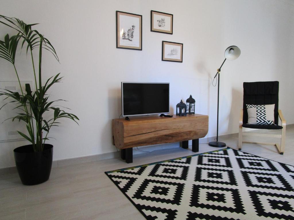a living room with a television and a potted plant at Casa Flor d'Sal in Angra do Heroísmo