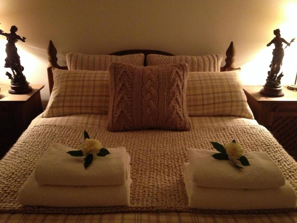 een slaapkamer met een bed met twee handdoeken erop bij Snowdonia Snug - Studio Style Accommodation in Dolgellau