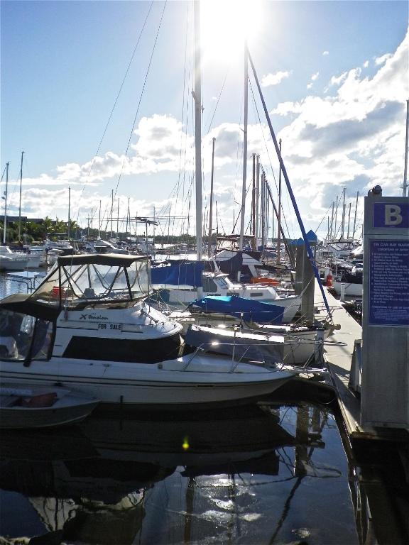 a group of boats are docked in a marina at Tin Can Bay's Sleepy Lagoon Motel in Tin Can Bay