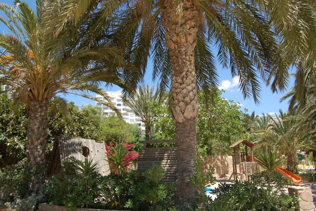 Fotografia z galérie ubytovania Montiboli Beachfront Holidays v destinácii Villajoyosa