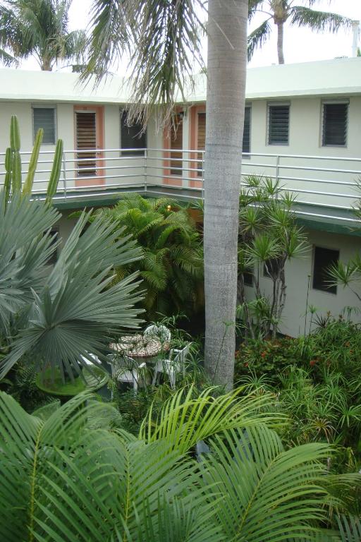 Zahrada ubytování El Patio Motel