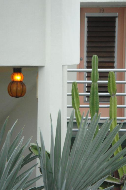Fotografie z fotogalerie ubytování El Patio Motel v destinaci Key West