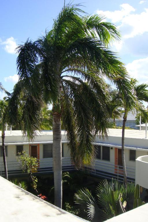 Balkón nebo terasa v ubytování El Patio Motel