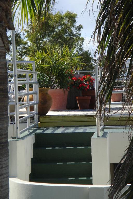 Fotografie z fotogalerie ubytování El Patio Motel v destinaci Key West