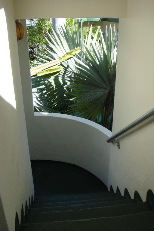 Fotografie z fotogalerie ubytování El Patio Motel v destinaci Key West