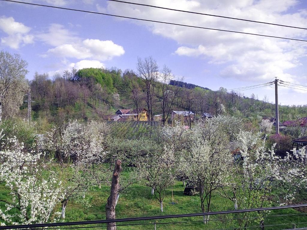 Příroda nedaleko penzionu