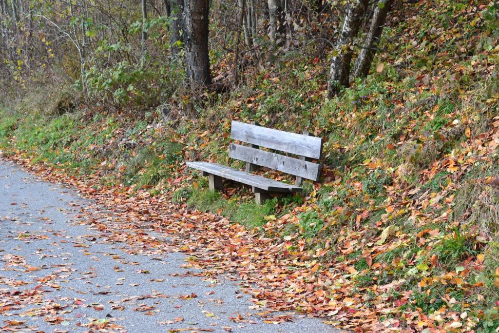Príroda v okolí apartmánu