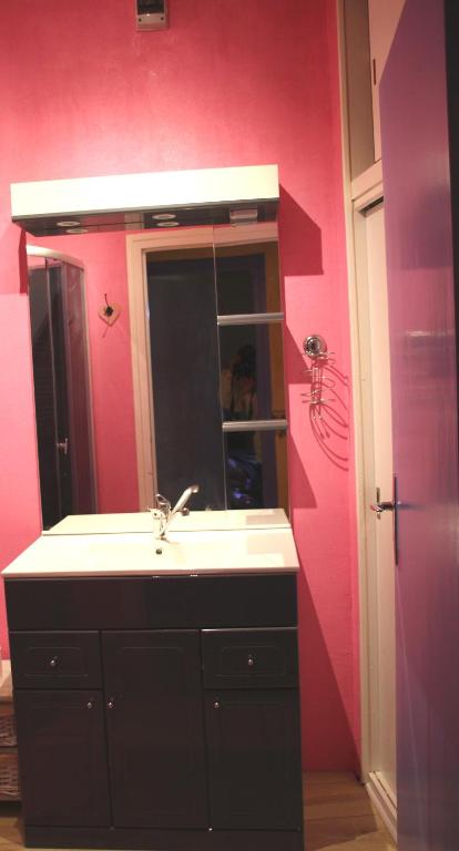 a bathroom with a sink and a mirror at La Maison des Chats in Saint-Mary-le-Plain