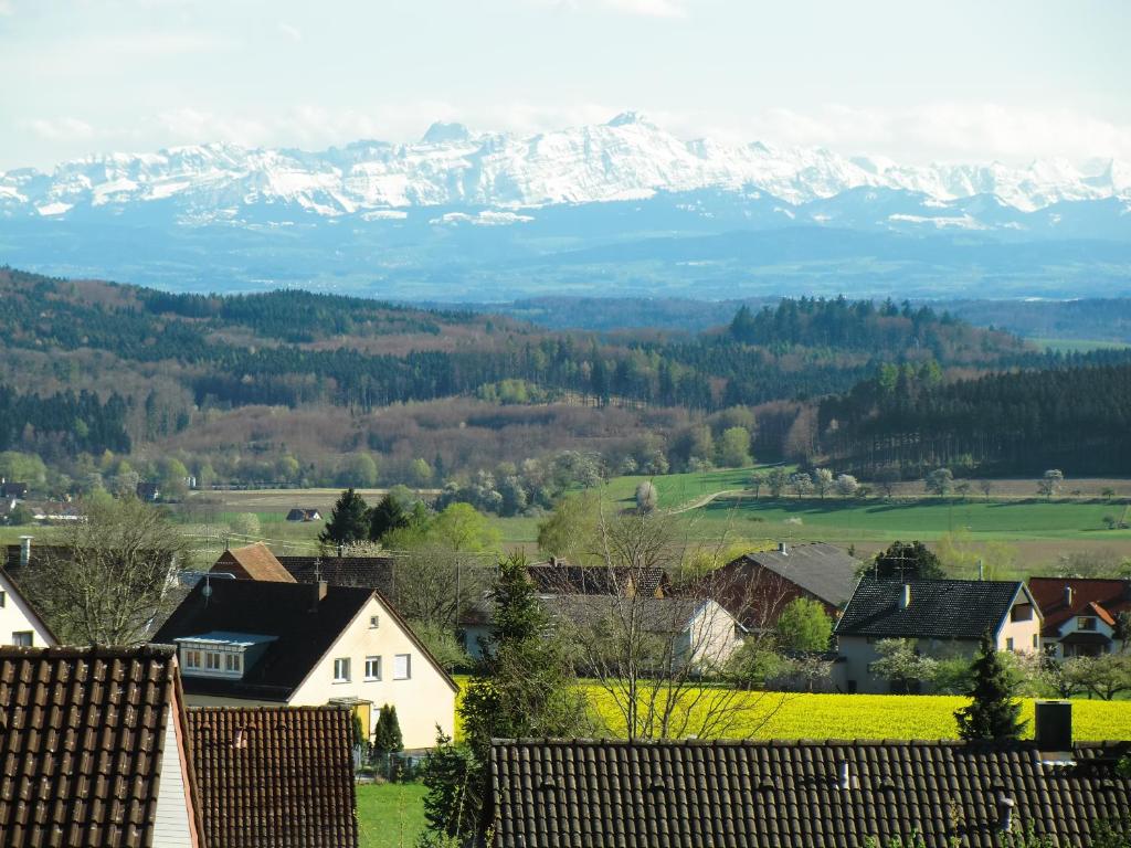 a village with snow capped mountains in the background at Ferienwohnung Salem-Beuren in Beuren