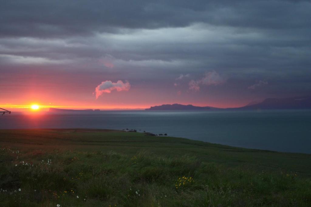 a sunset over a field with the ocean in the background at Steinn Farm Private Apartment in Sauðárkrókur