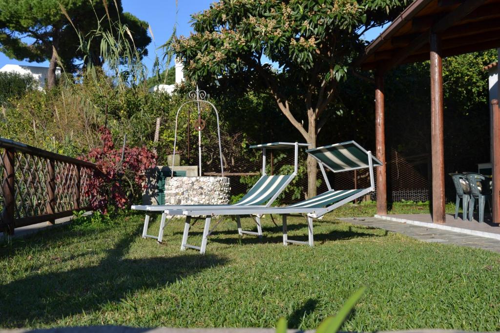 zwei Stühle und eine Bank in einem Hof in der Unterkunft Appartamenti Villa Annunziata in Ischia
