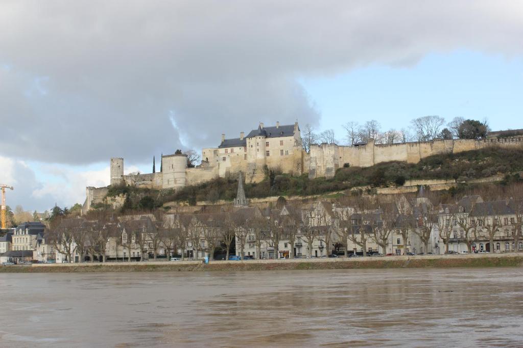 a castle on top of a hill next to a river at La Maison Rouge in Chinon