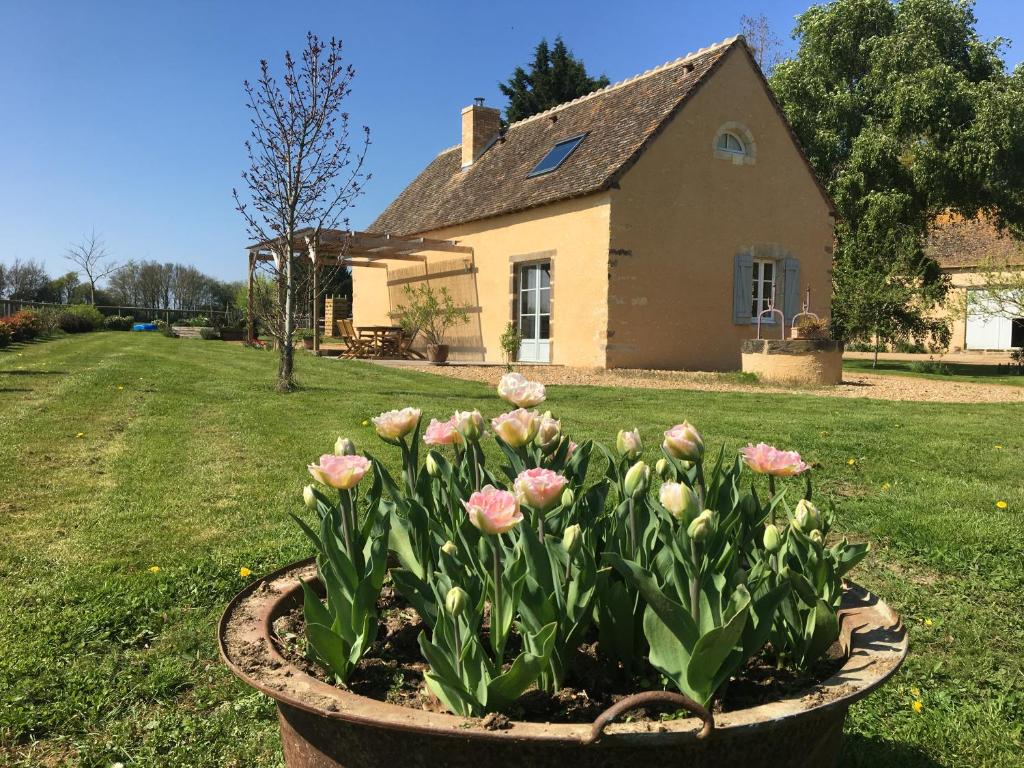 a pot of pink flowers in front of a house at Gîte de La Hertaudière in Montbizot