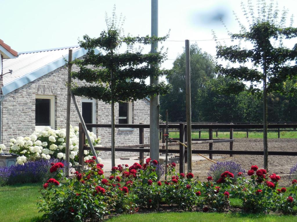 a garden of flowers in front of a building at B & B " De 7 Sprong " in Sevenum