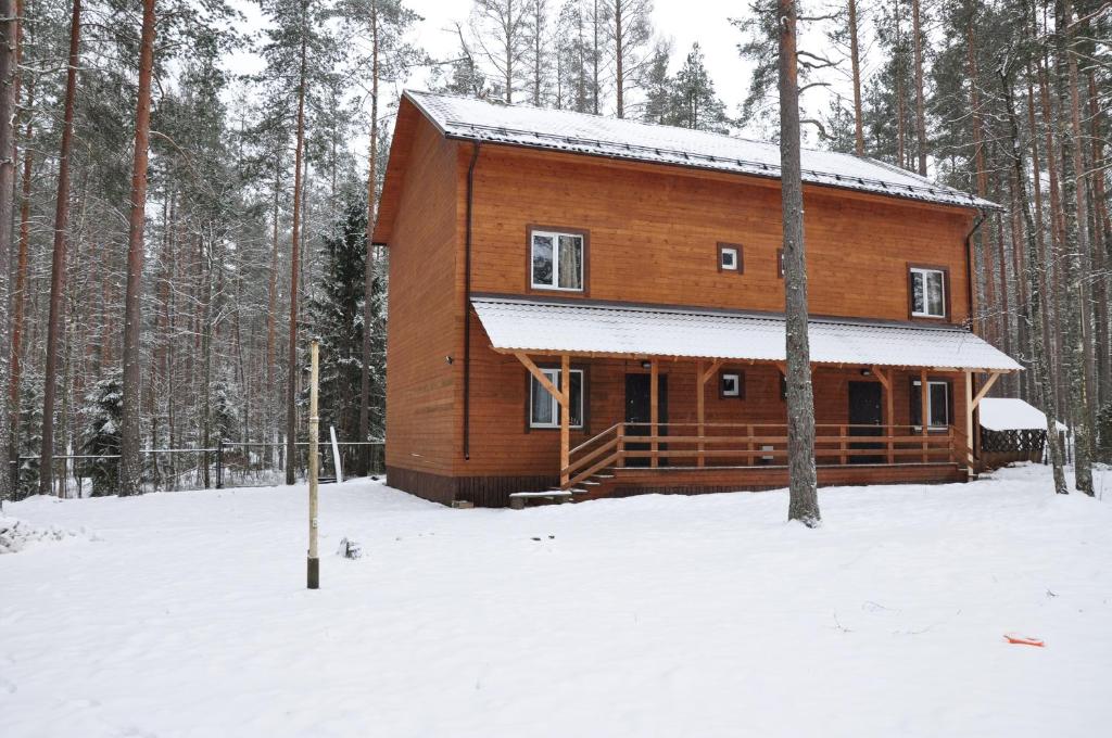ミチュリンスコエにあるCottages Near Zhuravlyovskoyeの雪中の木造小屋