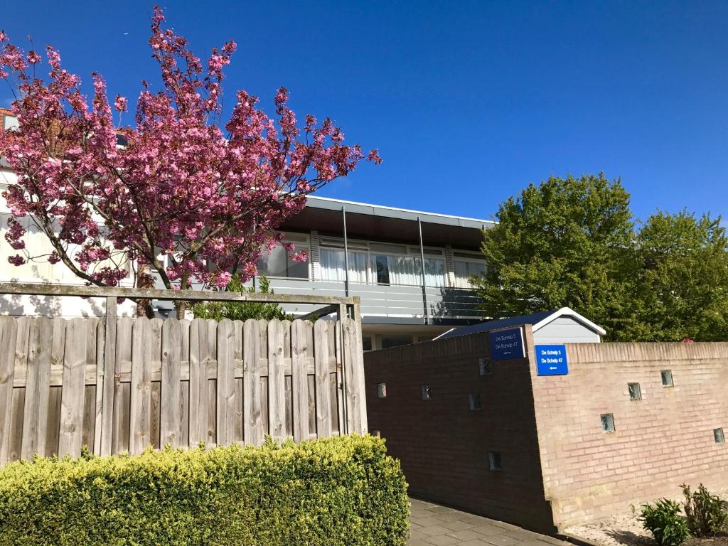 Afbeelding uit fotogalerij van Reumann Holiday Apartments De Schelp 47 in Zandvoort