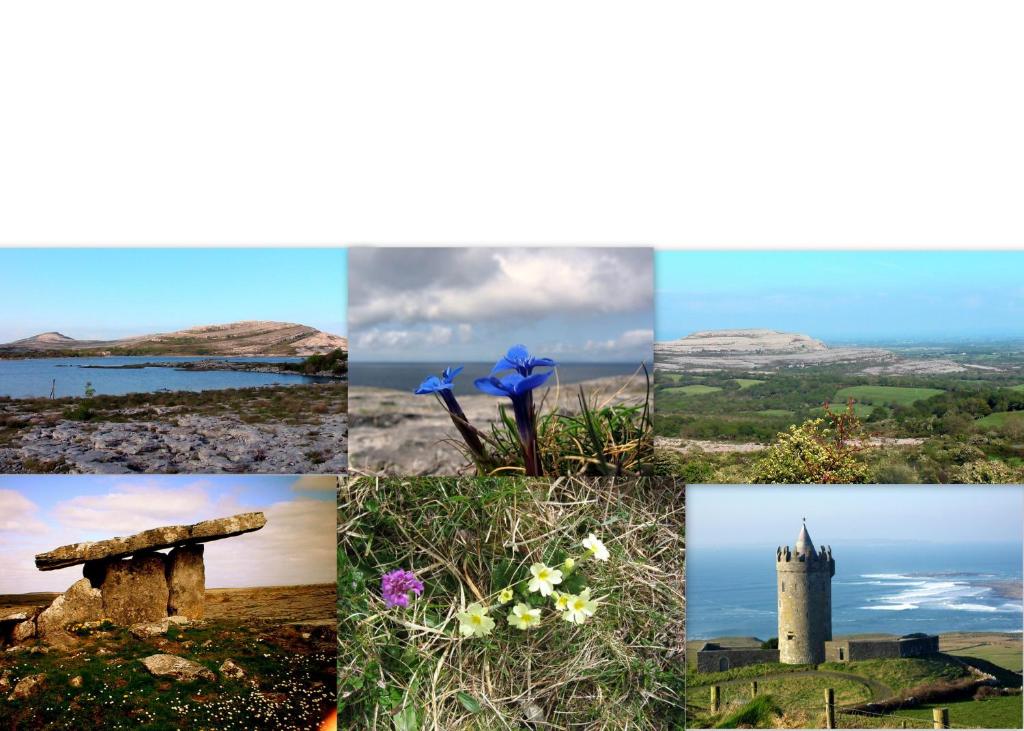 a collage of photos with flowers and a tower at Roadside Cottage The Burren in Kilfenora