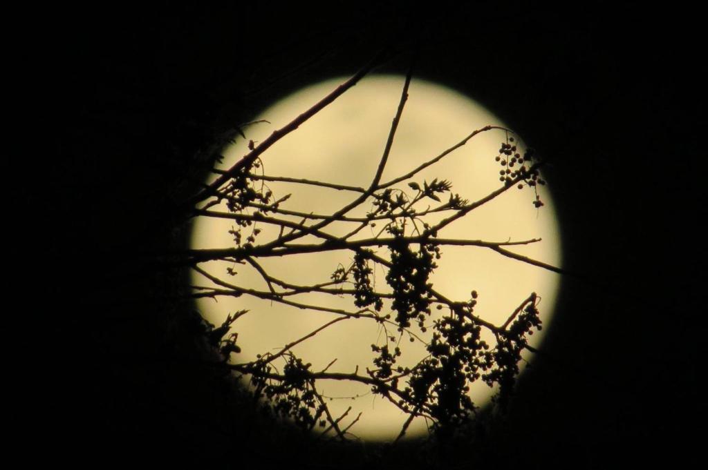 Fotografie z fotogalerie ubytování Pousada Luna Zen v destinaci Pirenópolis