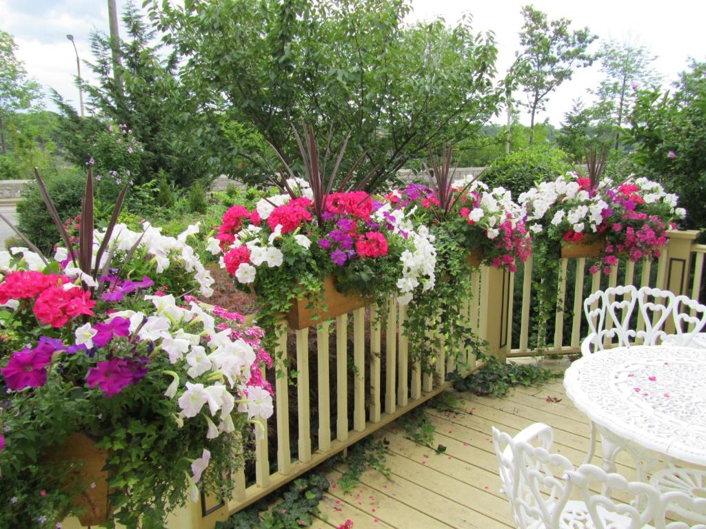 Giardino di Bedham Hall B&B