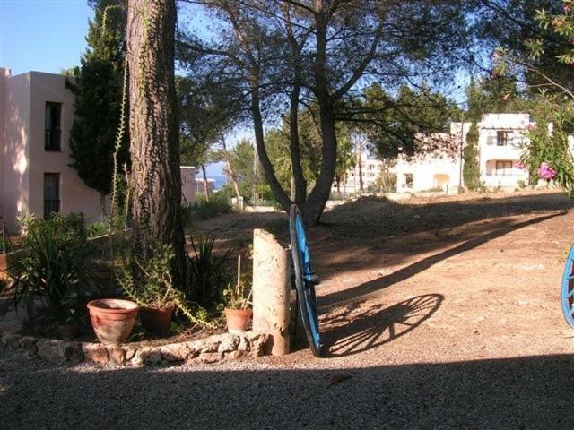 Pensión Las Tres Golondrinas Ibiza photo 2