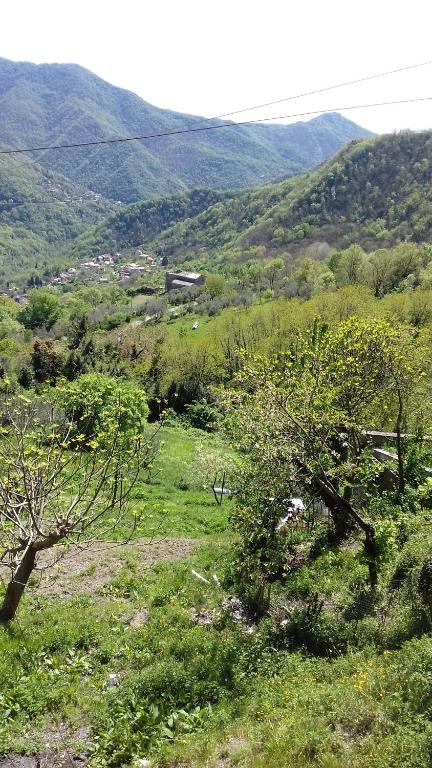 vistas a un campo con árboles y montañas en Albergo Caprile, en Uscio