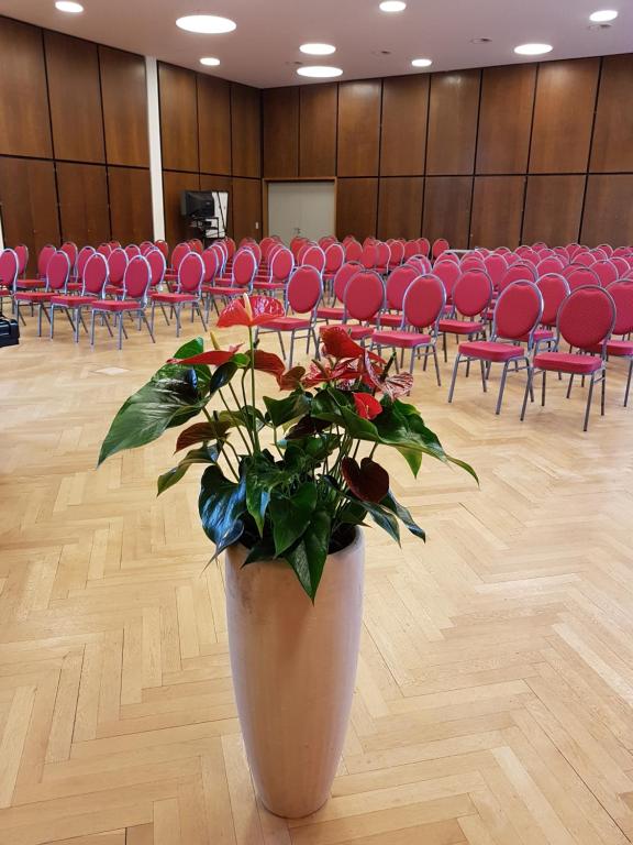 Konferenční prostory v ubytování Kloster Neustadt