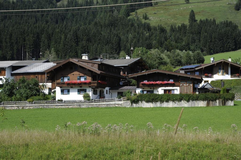 a house in a field next to a green field at Gästehaus Rosi in Fieberbrunn