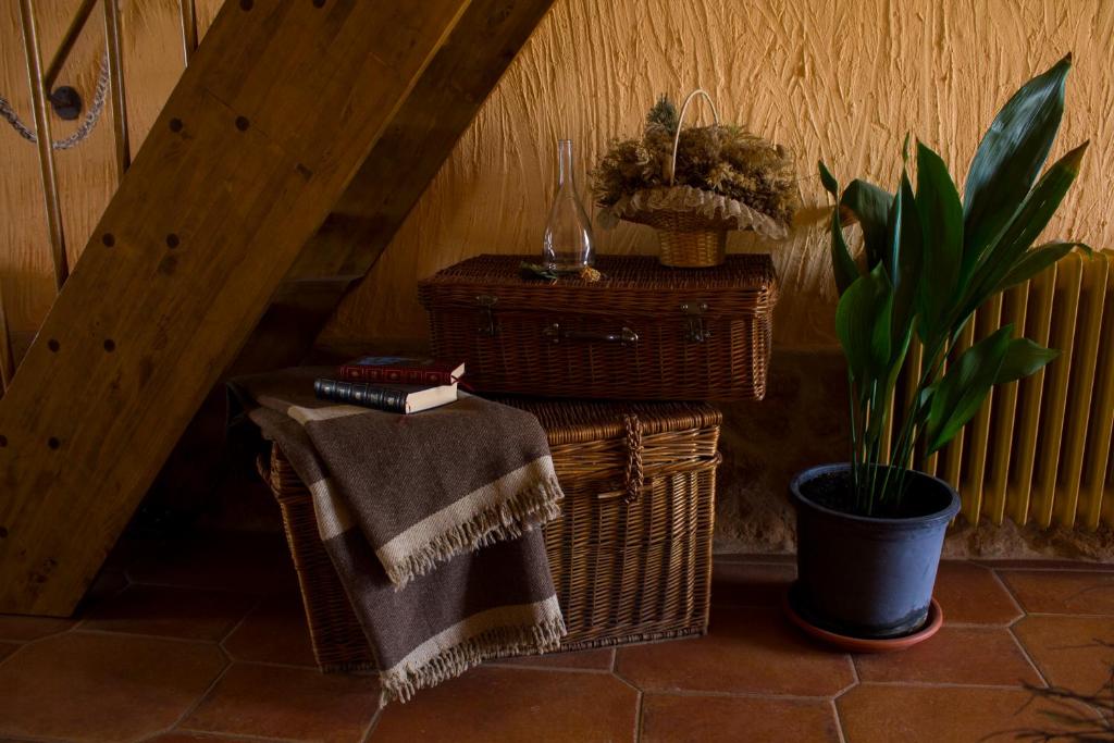Fotografie z fotogalerie ubytování Casa Rural Santa Elena v destinaci Villafranca de los Caballeros