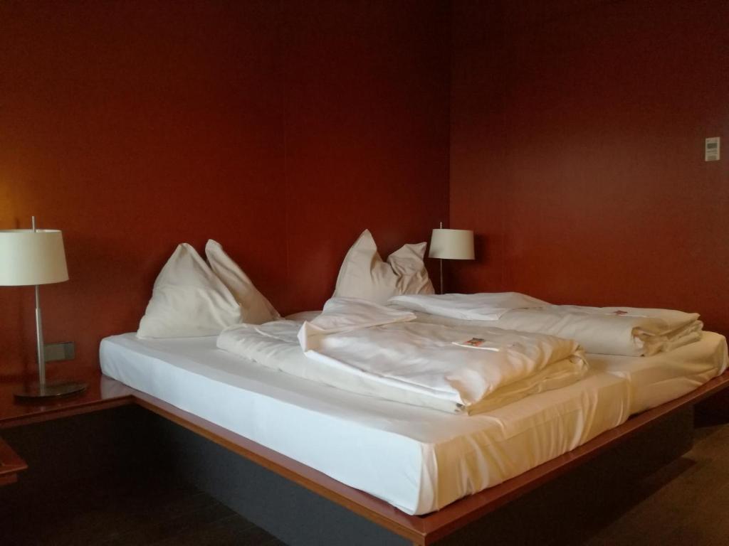 Rosenberger Motor-Hotel Ansfelden - Resim 16