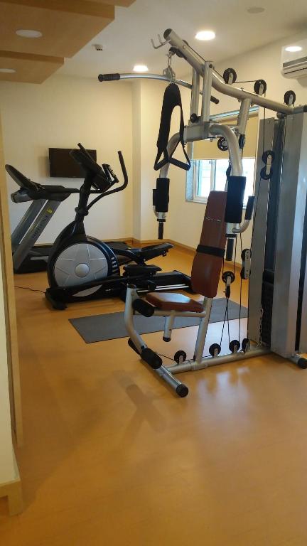 Fitness centrum a/nebo fitness zařízení v ubytování Ginger Vapi