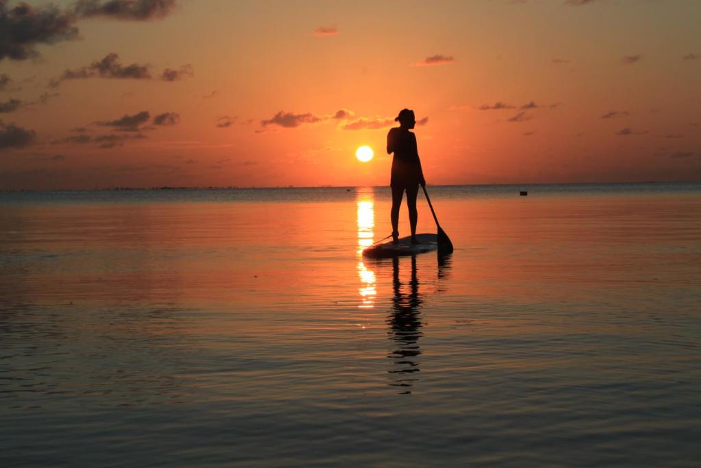 Hosté ubytování Canareef Resort Maldives