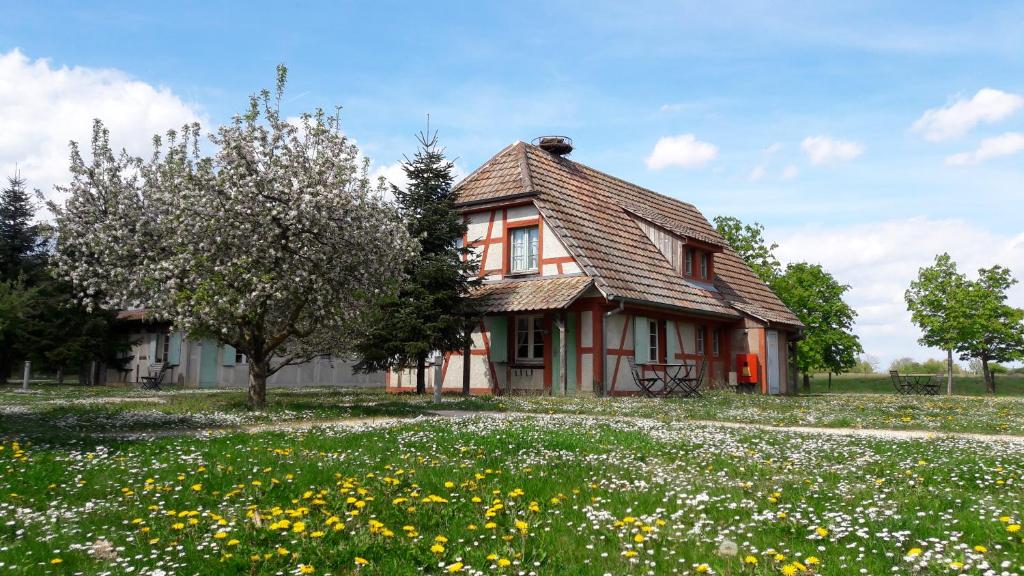 Zahrada ubytování Les Loges de l'Ecomusée D'Alsace