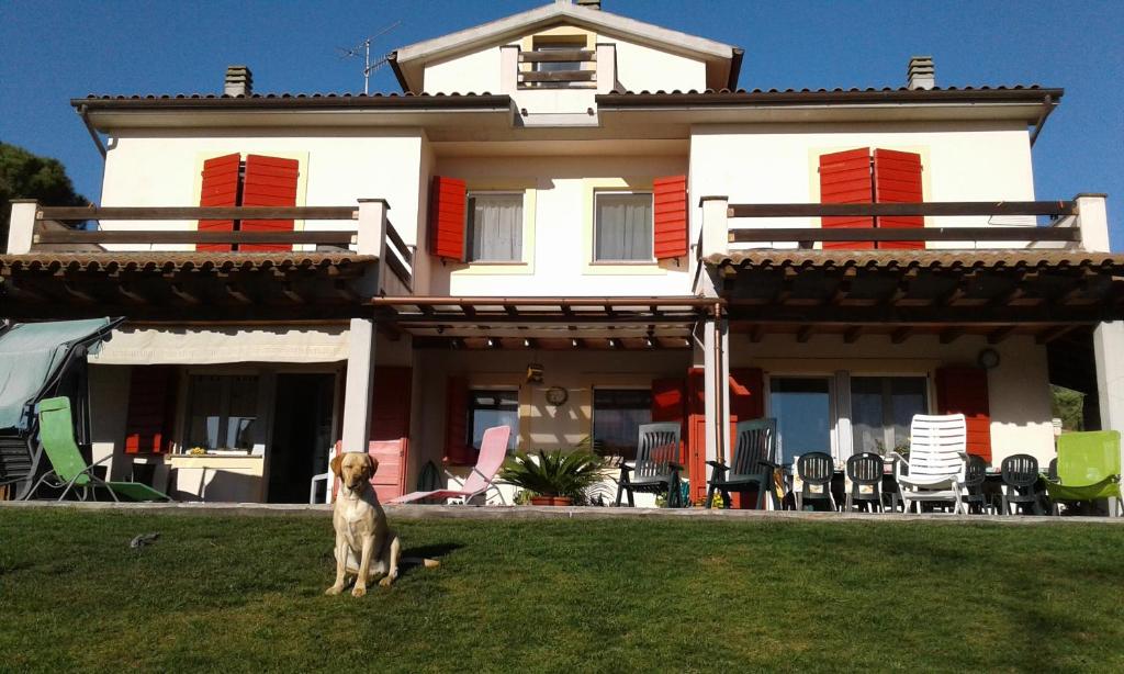 マルシリアナにあるLa Villaの家の前の芝生に立つ犬