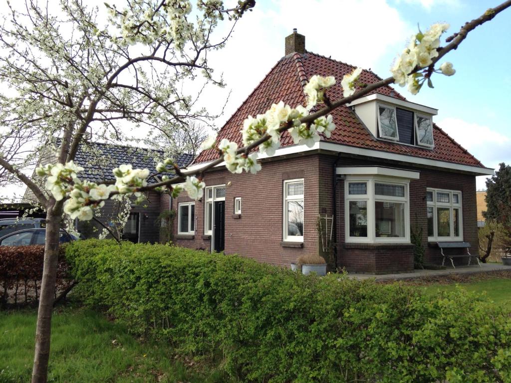 una casa con un árbol floreciente delante de ella en B&B Op Kolderveen en Nijeveen