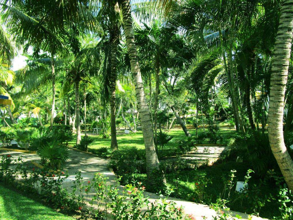 Zahrada ubytování Hotel Maya Caribe Faranda Cancún
