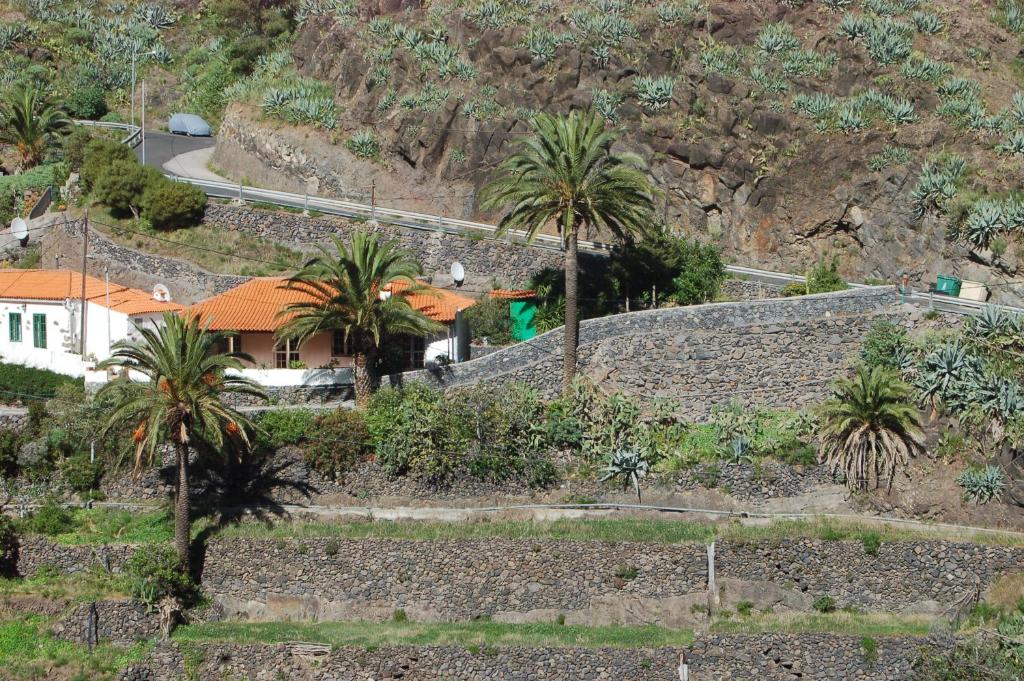 a house on the side of a mountain with palm trees at Casa el Anden in El Cedro