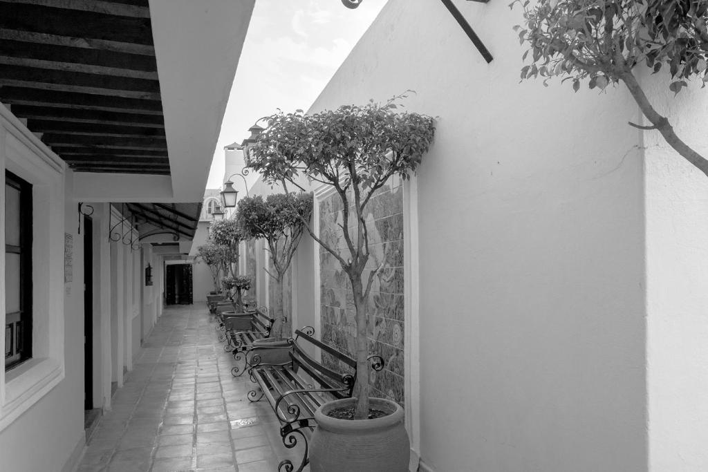 Fotografie z fotogalerie ubytování Hotel La Morada v destinaci San Miguel de Allende
