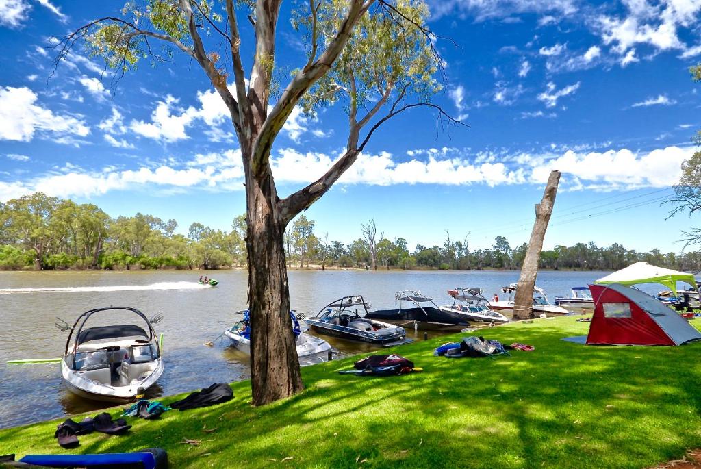 a group of boats in the water next to a tree at Rivergardens Holiday Park Mildura in Gol Gol
