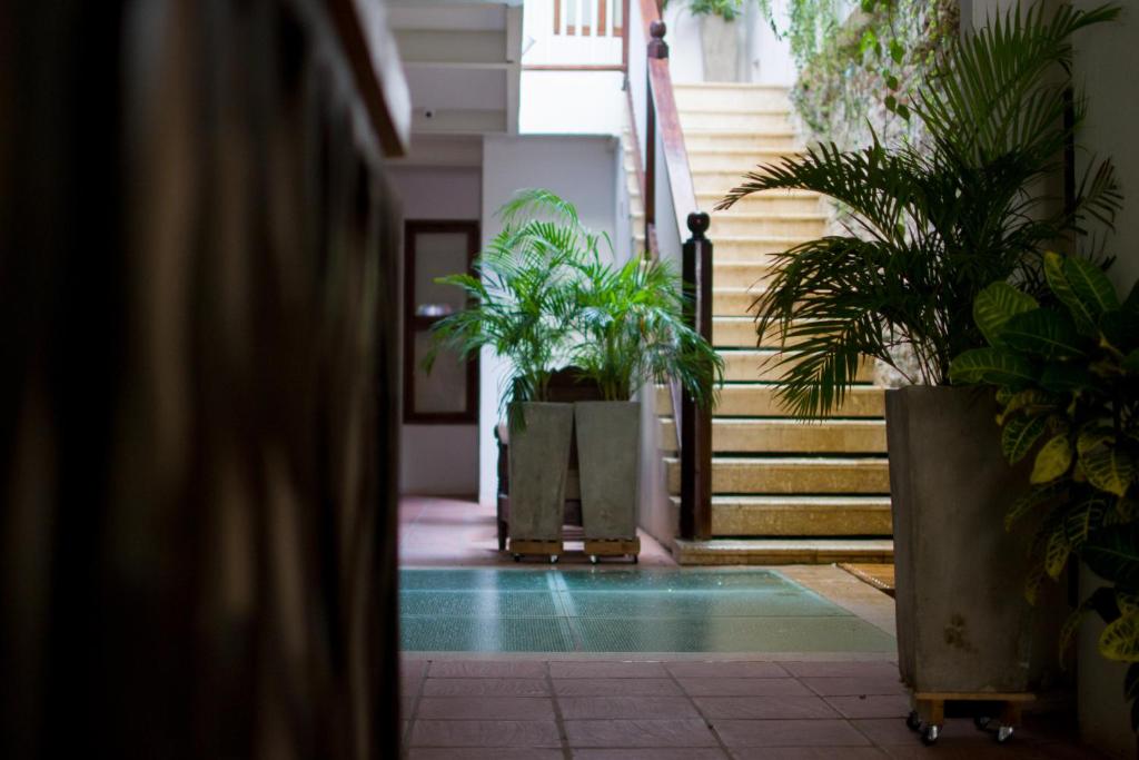 Fotografie z fotogalerie ubytování Casa Ebano 967 v destinaci Cartagena
